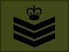 5_Colour_or_Staff_Sergeant_zpsd4ac9f93.jpg