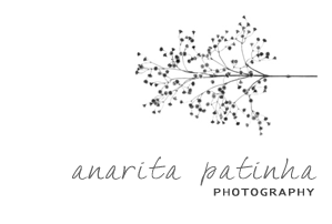  photo banner_zps85f4ecdf.png