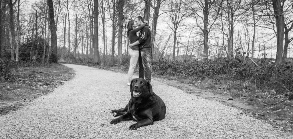 Fotografie