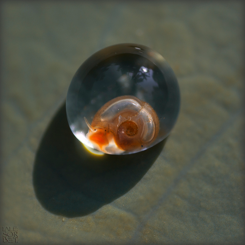 90BDE313-E9B7-49DA-A285-5A0F1EEC6207_zpsbcnwbiuv.png