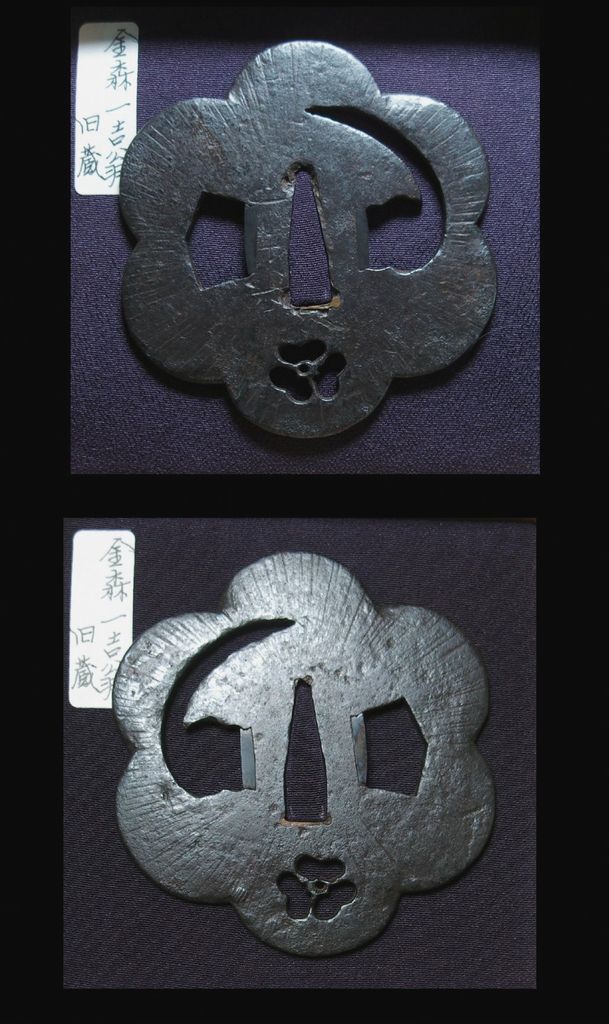 Oxalis%20Yasuri%20Nidai%20YKB_zpsc5zuuhx