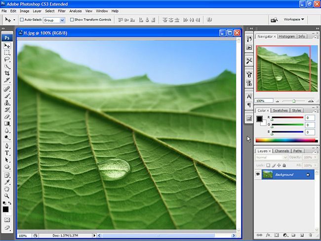 Adobe Photoshop CS3 (10.0) Interface photo AdobePhotoshopCS3100Interface_zps2cd07eec.jpg