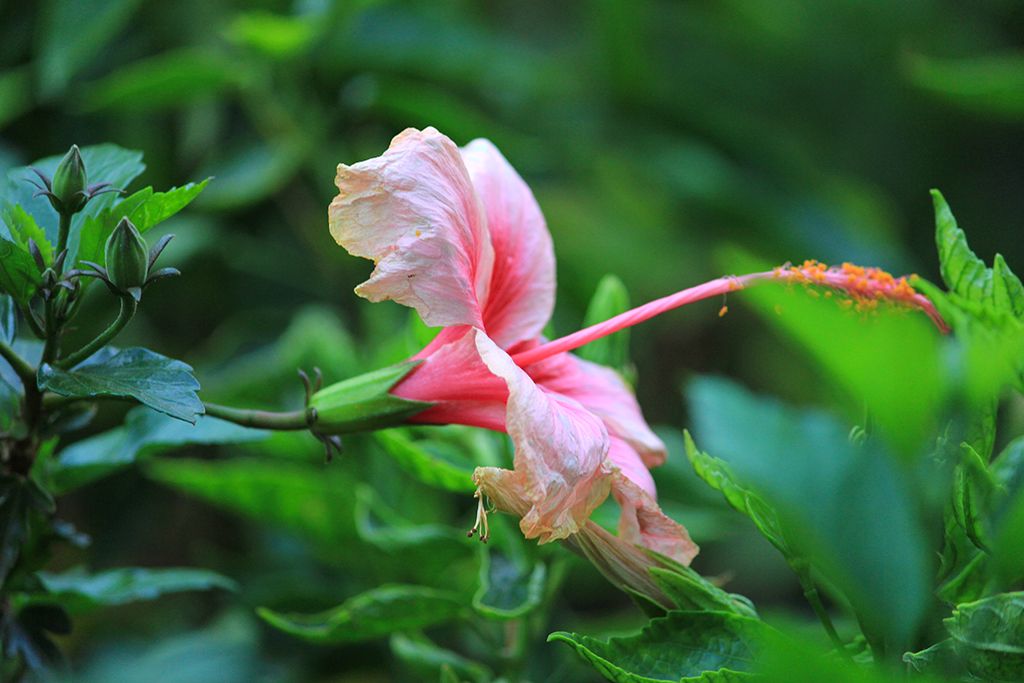 IMAGE: http://i1340.photobucket.com/albums/o733/saketb/IMG_0776_pp_zpsd0988bd0.jpg