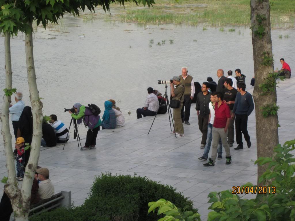  photo Chinese3_zpsf8575cdd.jpg