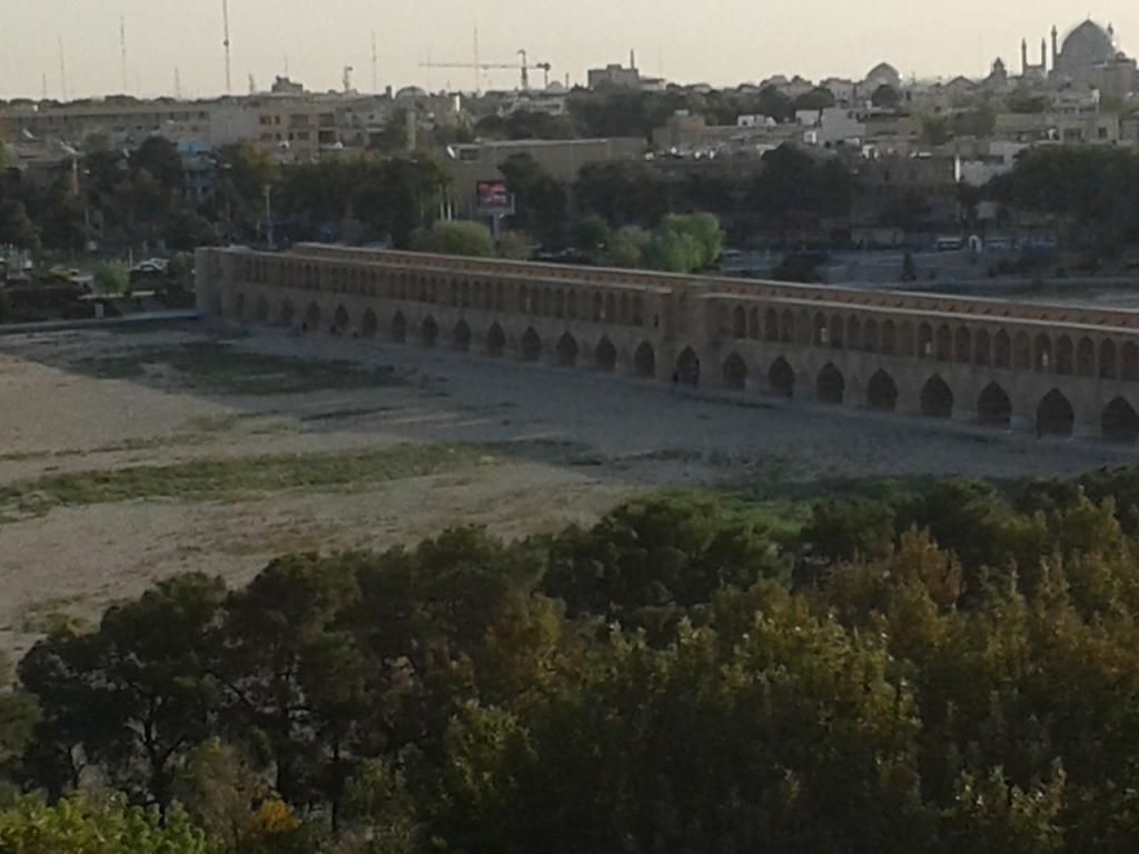  photo 20140817_073618_zpsa9db4f9a.jpg