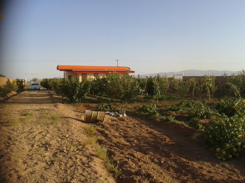  photo 20140902_182138_zps84bbd6b9.jpg
